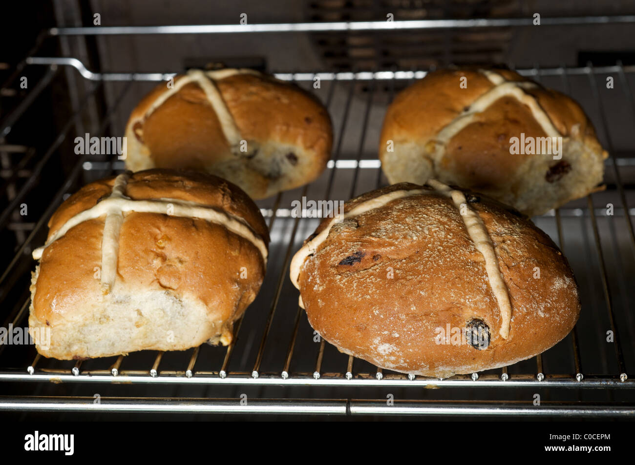 Hot cross buns in oven Stock Photo Alamy