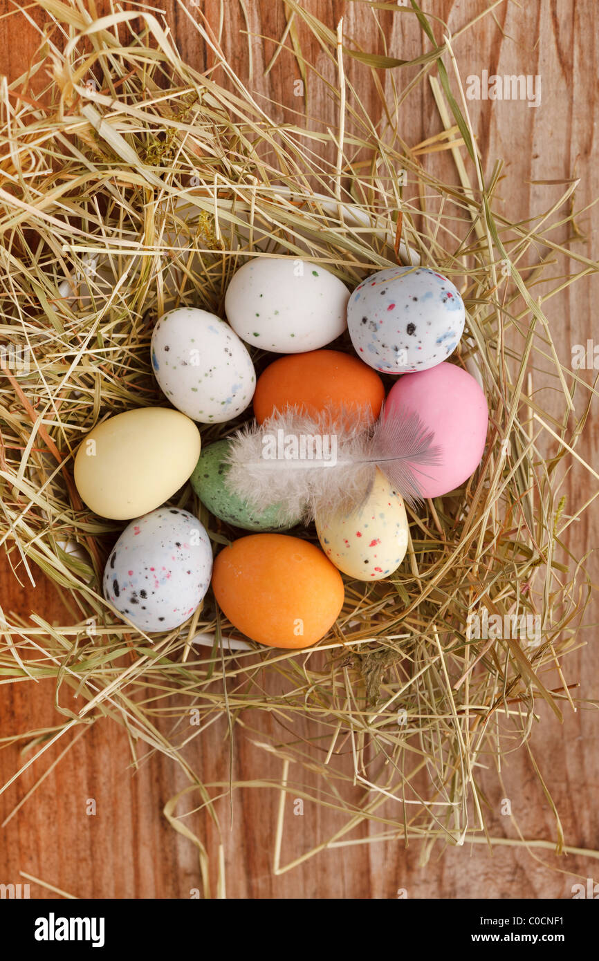 Easter eggs in a bird's nest Stock Photo - Alamy