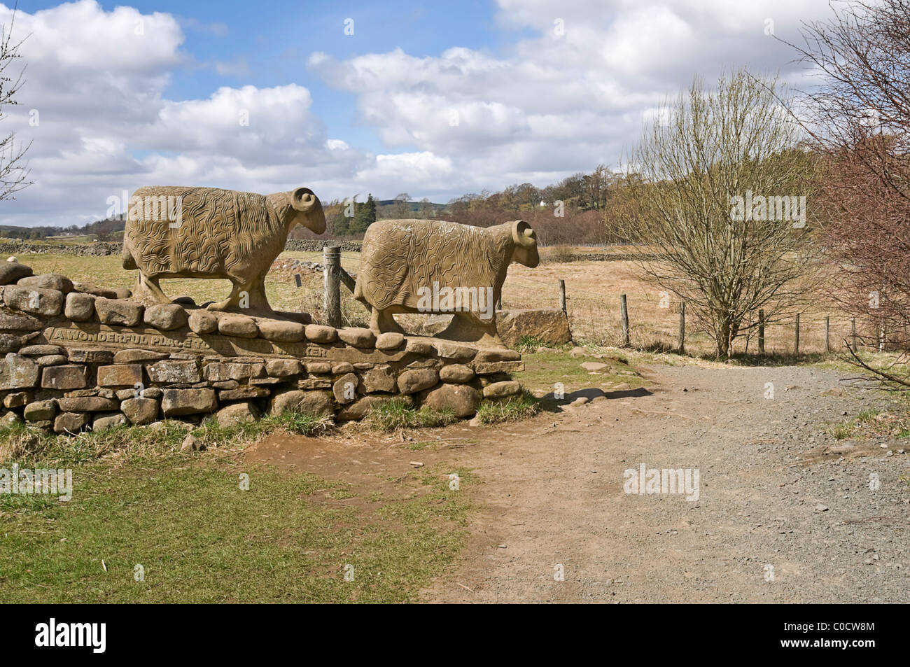 Stone sheep sculpture at Low Force, Teesdale. The footpath is The