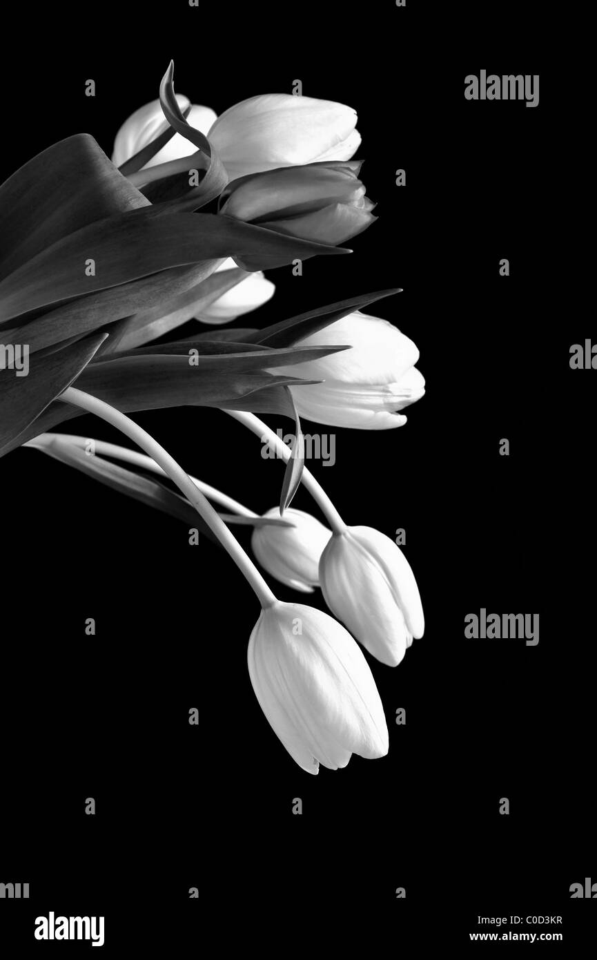 Flower bouquet Black and White Stock Photos & Images - Alamy