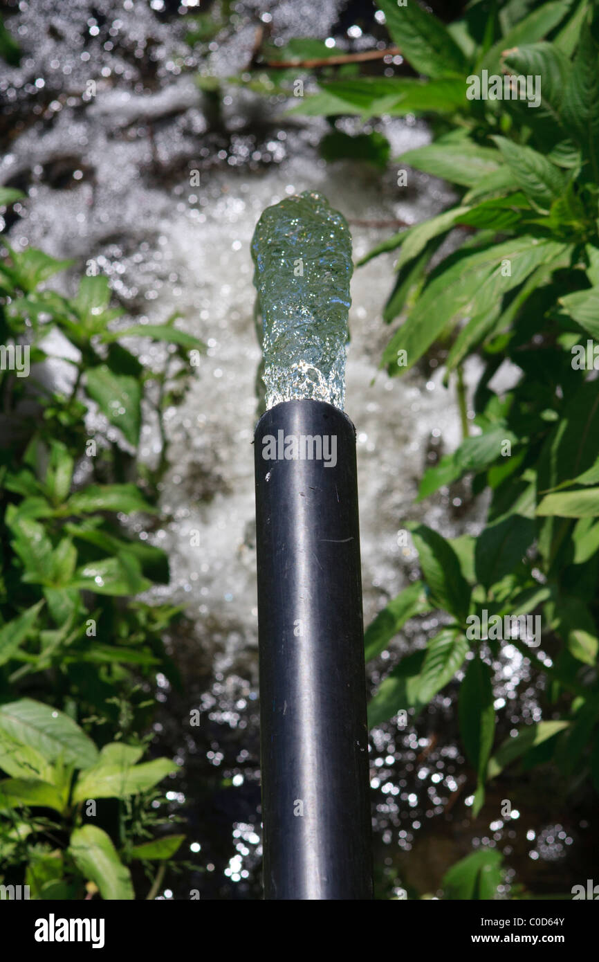 Clean water gushing from a pipe into green vegetation Stock Photo