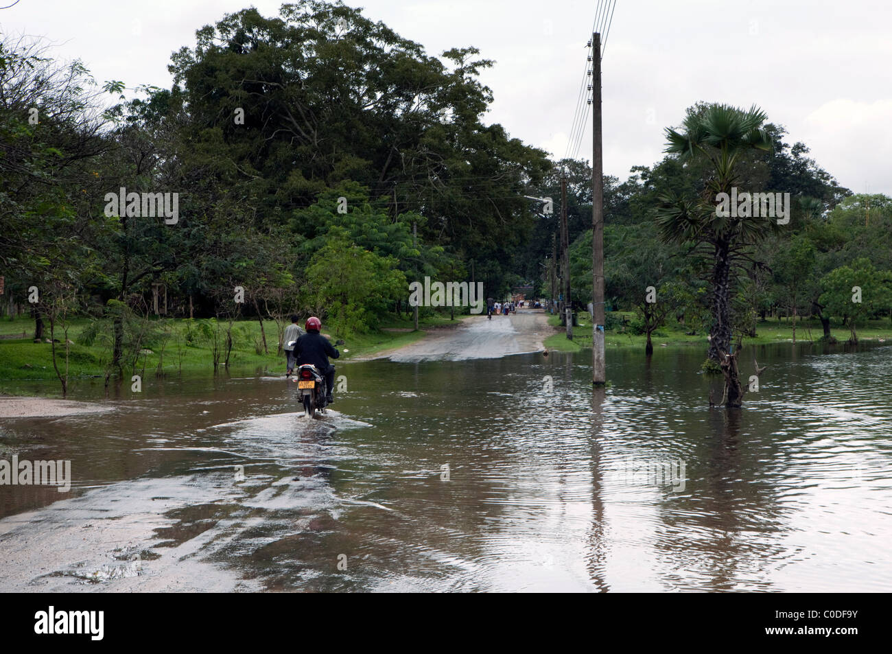 A motorbike crosses a flooded road in the ancient city of Anuradhapura in North Central Sri Lanka Stock Photo