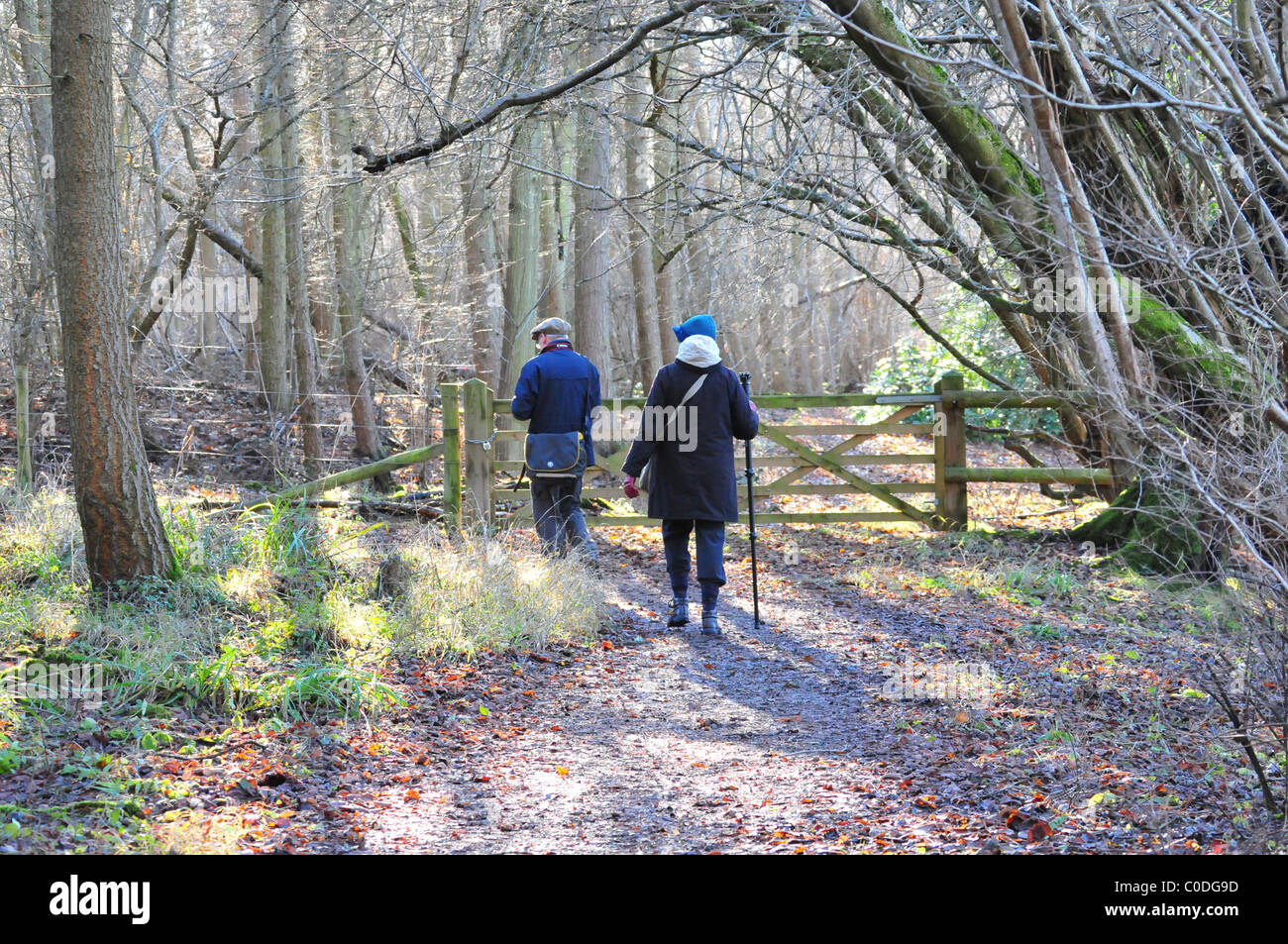 Old couple walking stick hi-res stock photography and images - Alamy