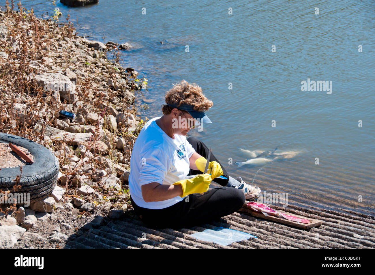 A woman sits on a boat ramp and filets white bass hybrids. A stringer of fish float in the water. Oklahoma, USA. Stock Photo