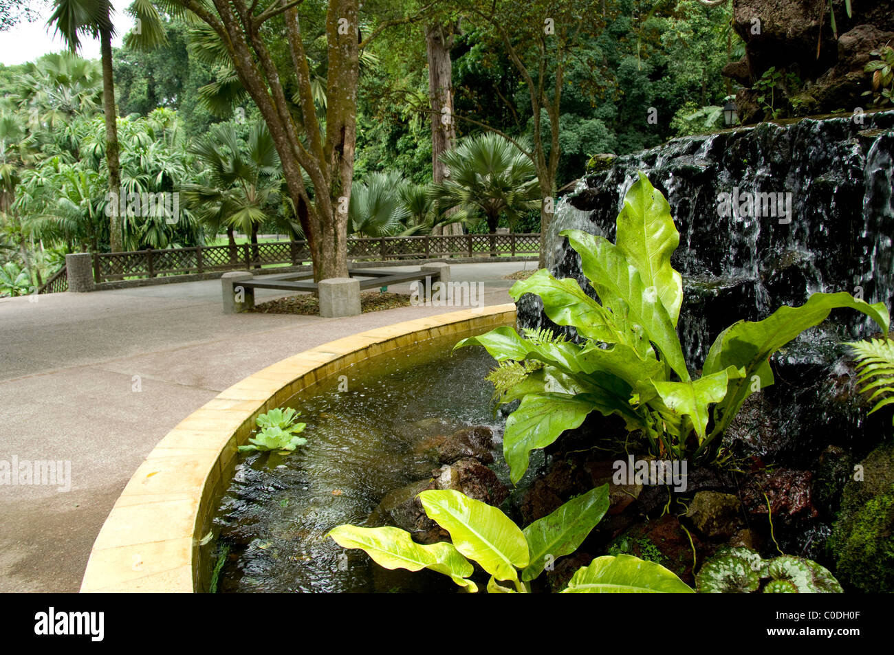 Asia Singapore Sanskrit For Lion City National Orchid Garden