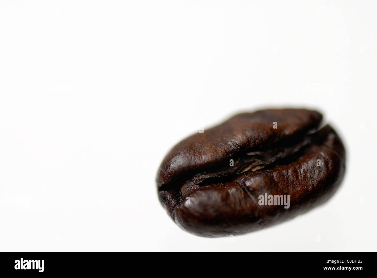 Isolated fairtrade, arabica, coffee bean on white background. Stock Photo