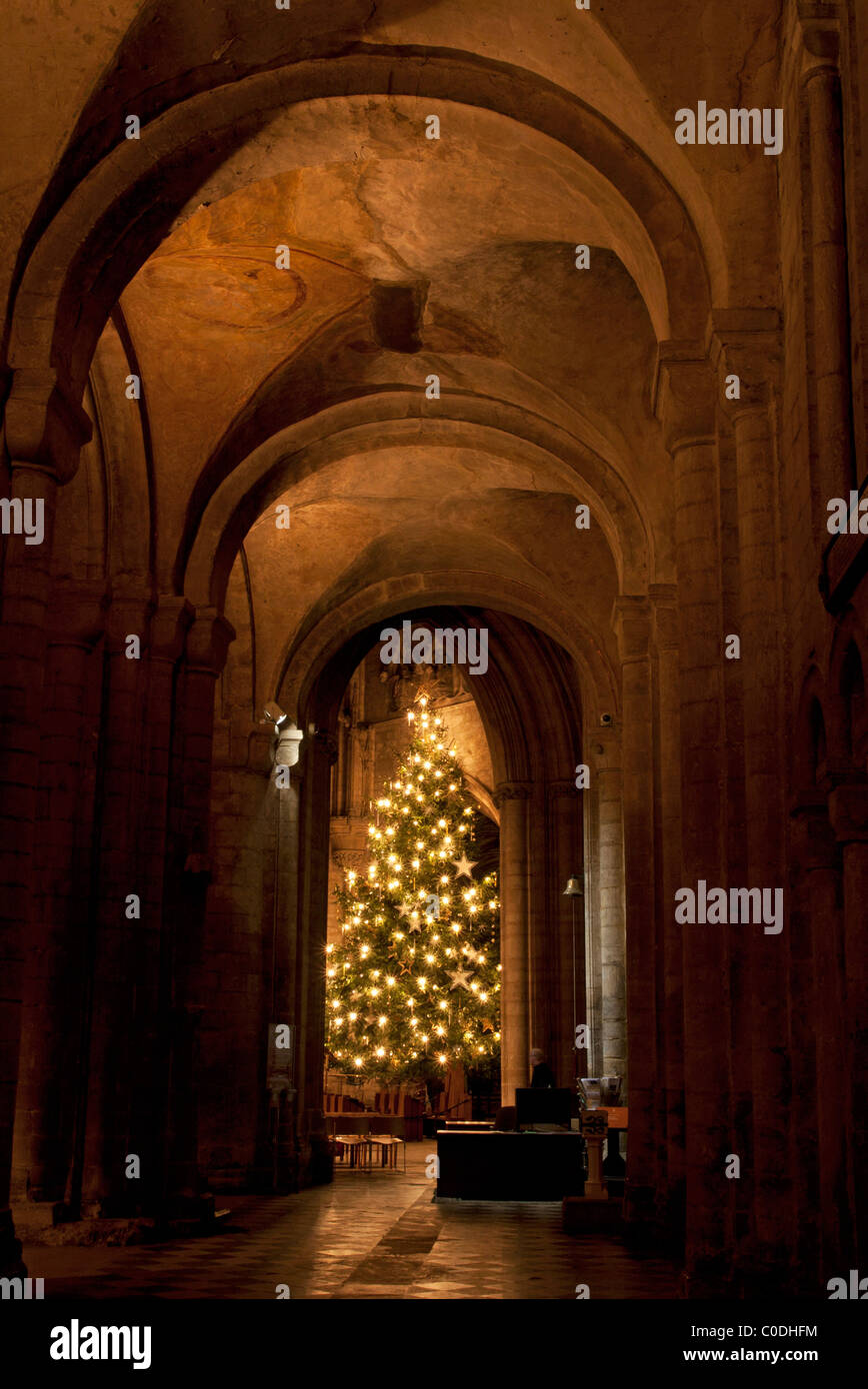 Ely Cathedral - Cambridgeshire Stock Photo - Alamy