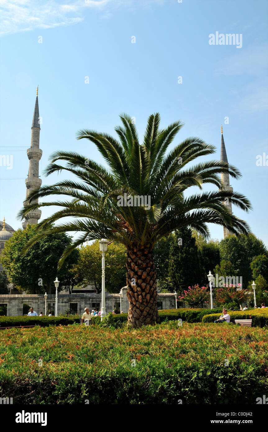 Blue Mosque Sultan Ahmet Mosque Minaret Stock Photo - Alamy