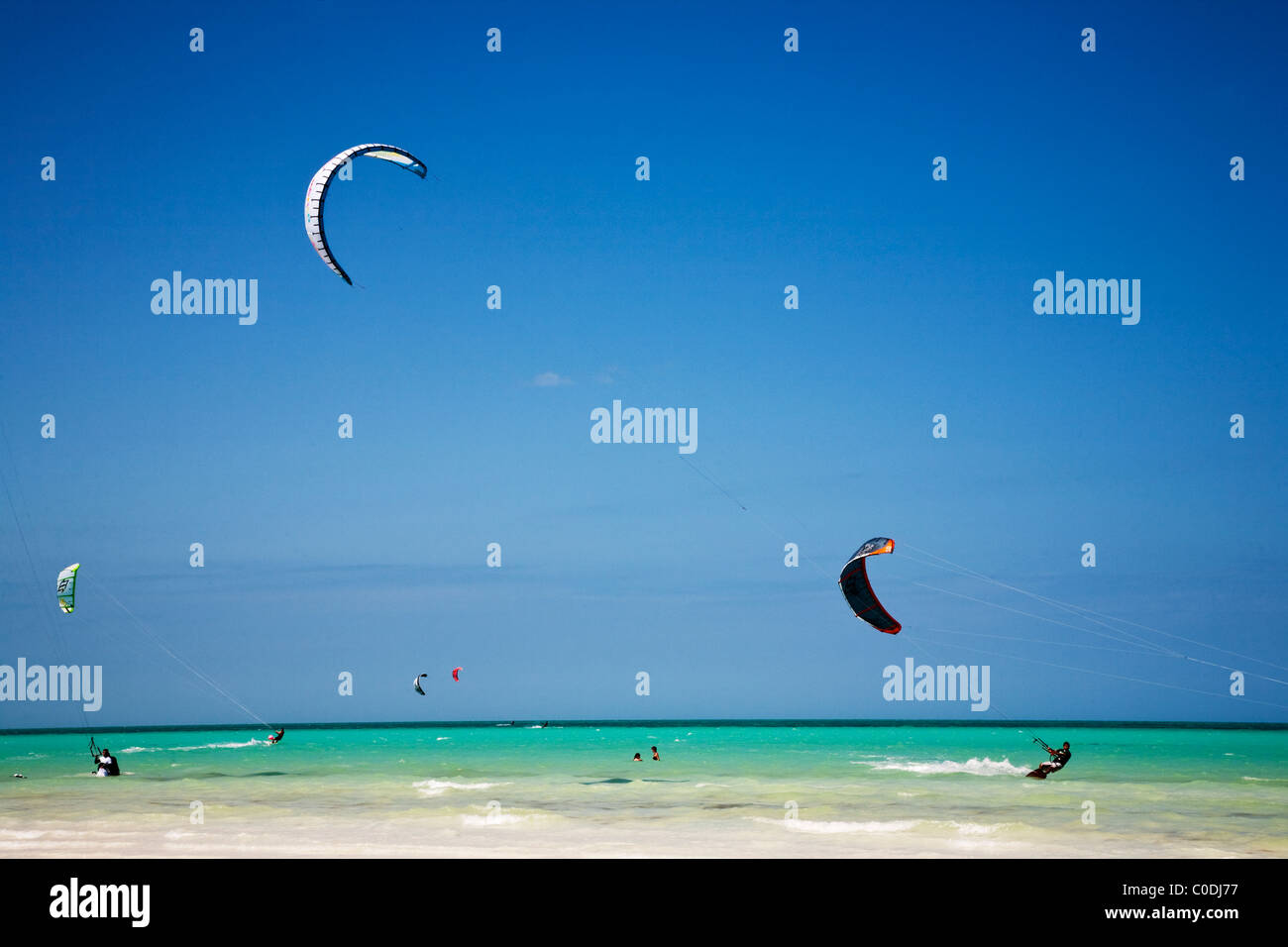 Surfing with parachutes on Holbox Island beach, Yucatan, Mexico Stock