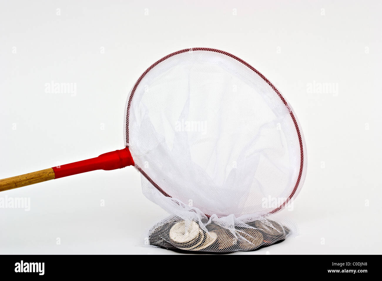 Mesh butterfly net filled with silver coins Stock Photo