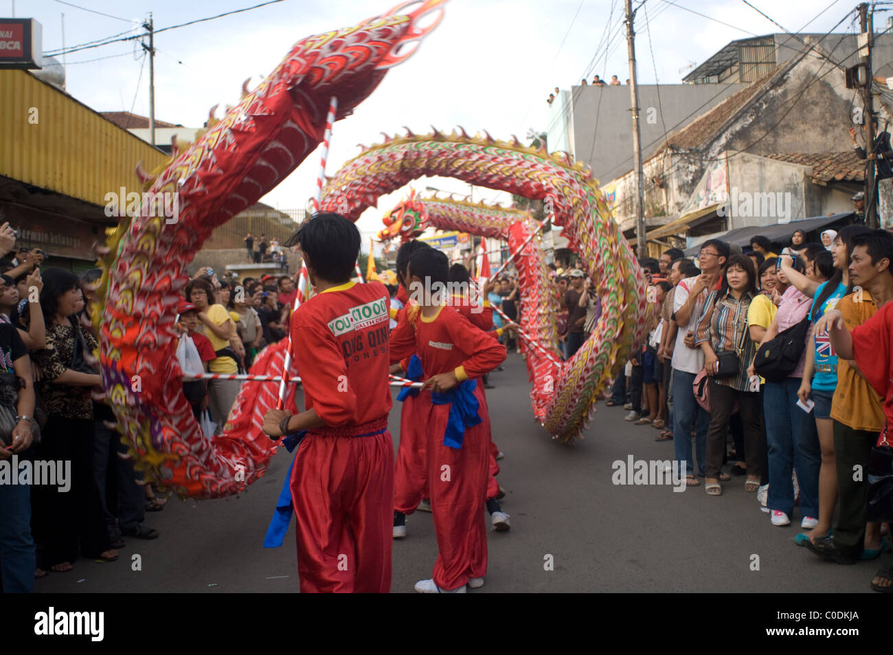 Liong Dance Stock Photo