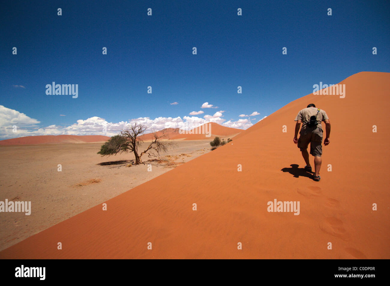Man climbing the biggest dune in Sossusvlei Stock Photo - Alamy