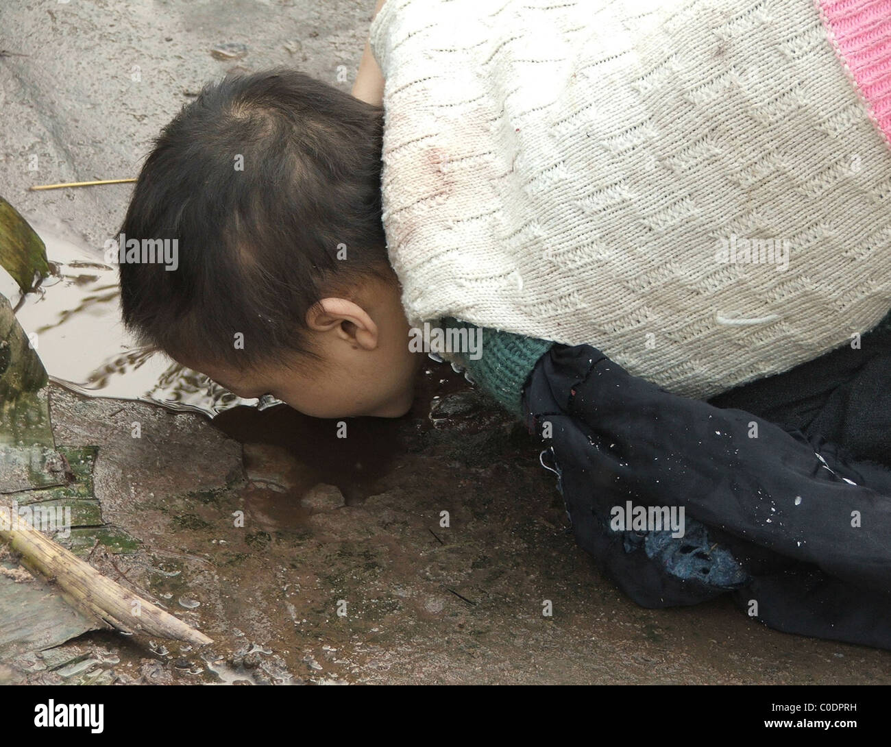 ANIMAL BOY Meet animal boy. Jiejie has stunned locals in a small China village with his love of raw fowl. The 14-year-old Stock Photo