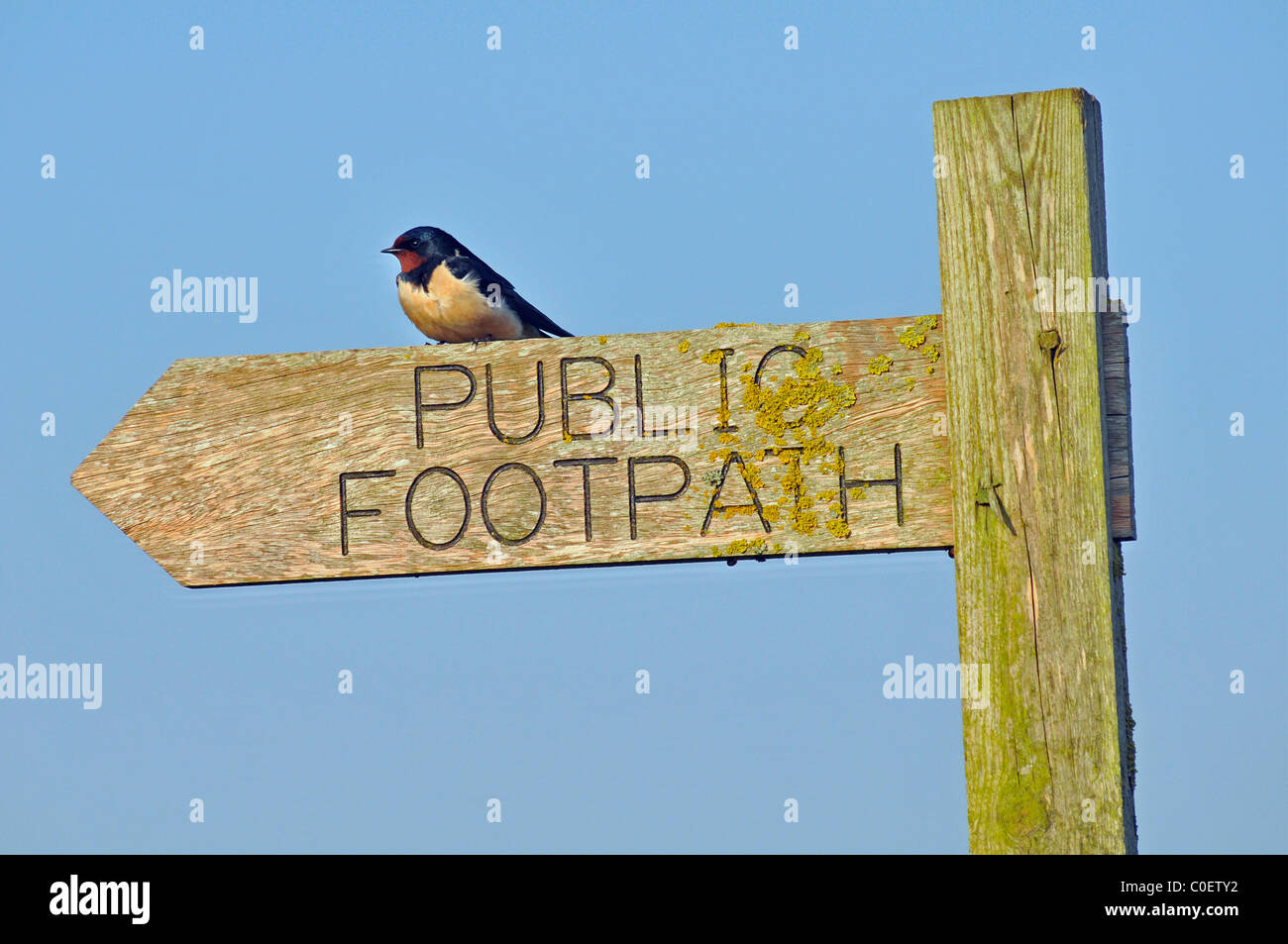 Bird on Public Footpath Sign Stock Photo