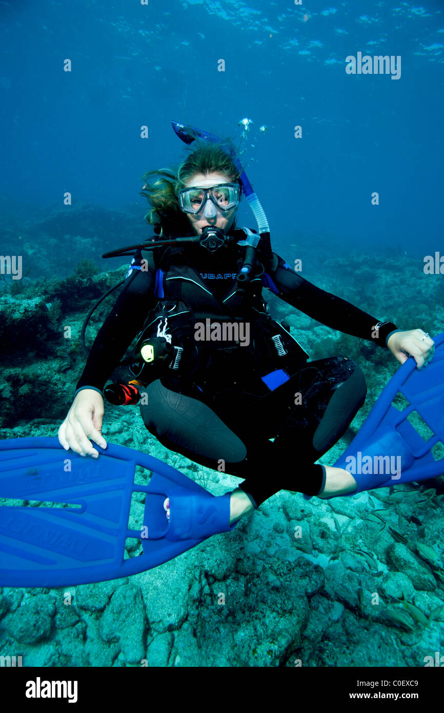 Scuba diver practices neutral buoyancy Stock Photo Alamy