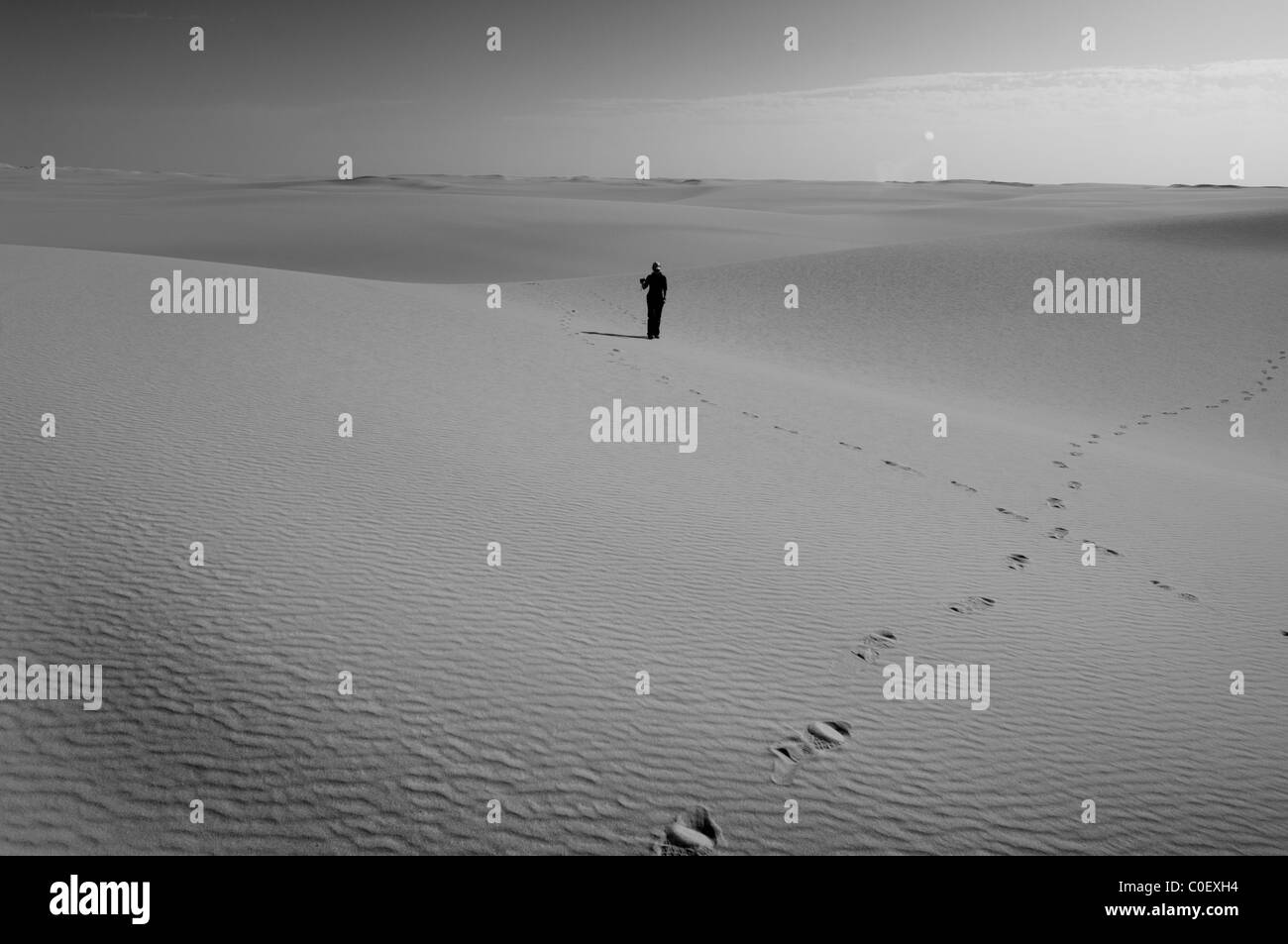 Lone Figure in the Sahara Desert Stock Photo - Alamy