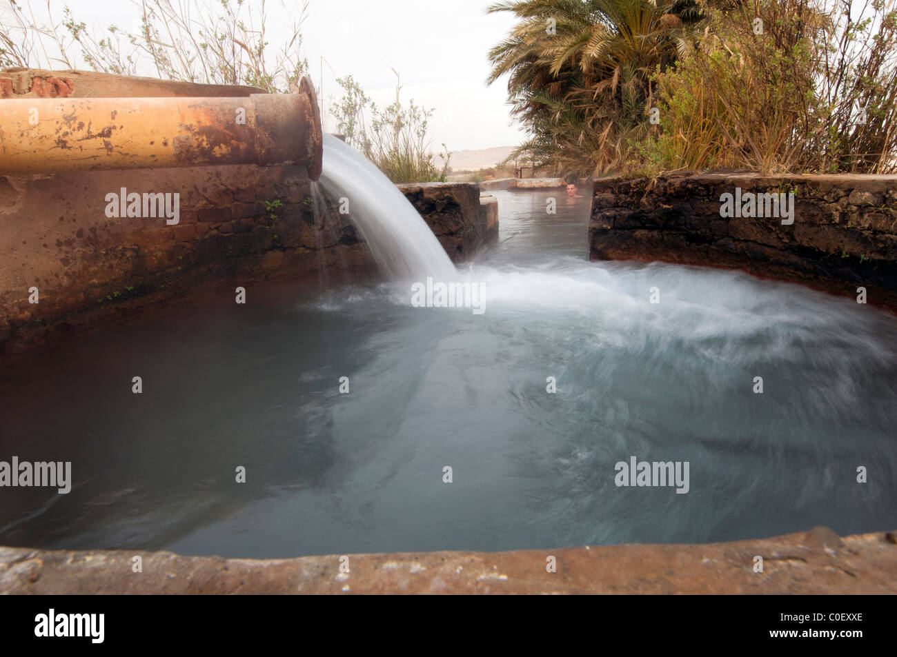 Hot Spring in Farafra Oasis Stock Photo - Alamy