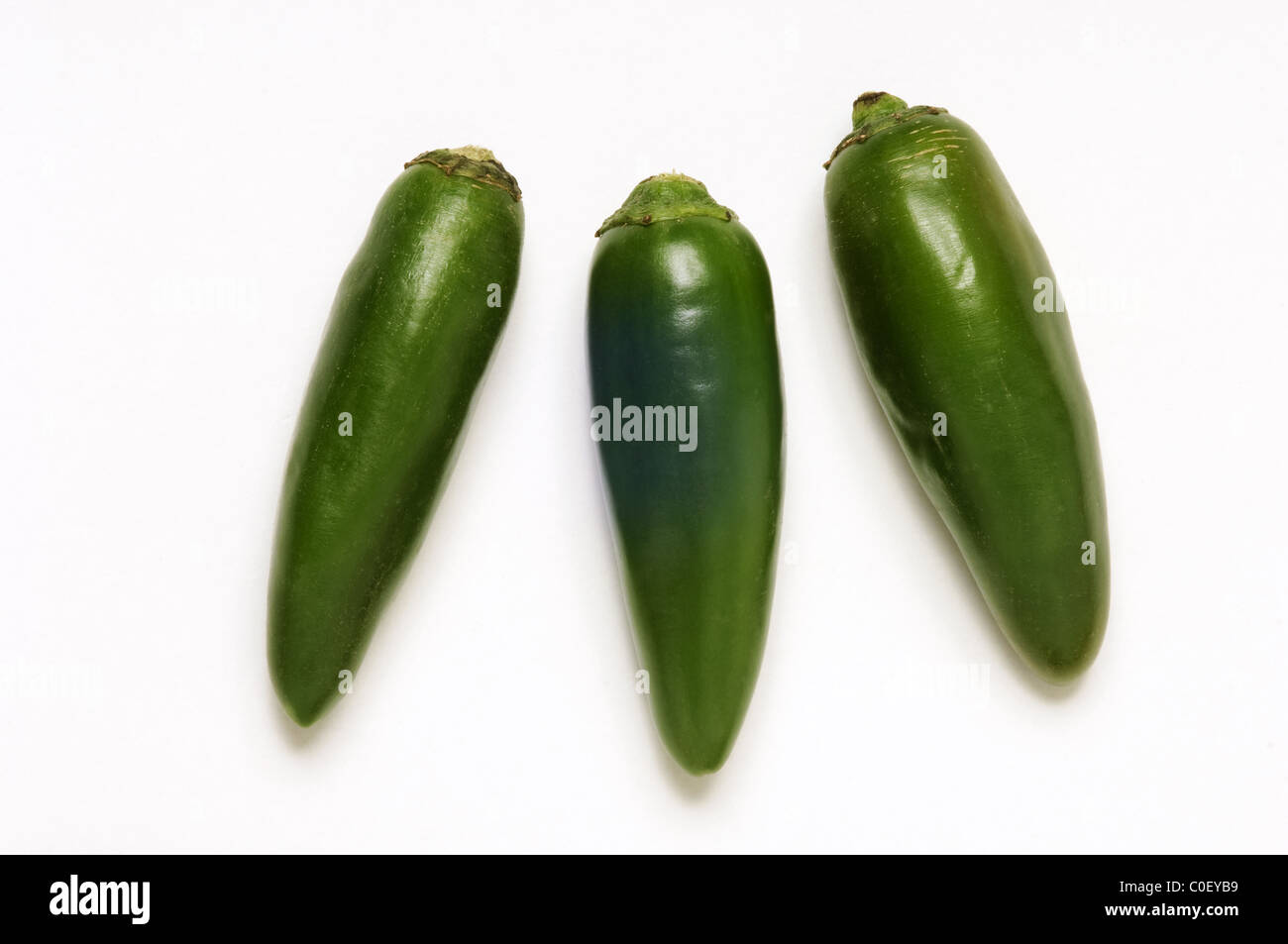 Jalapeno chilli peppers on white background Stock Photo