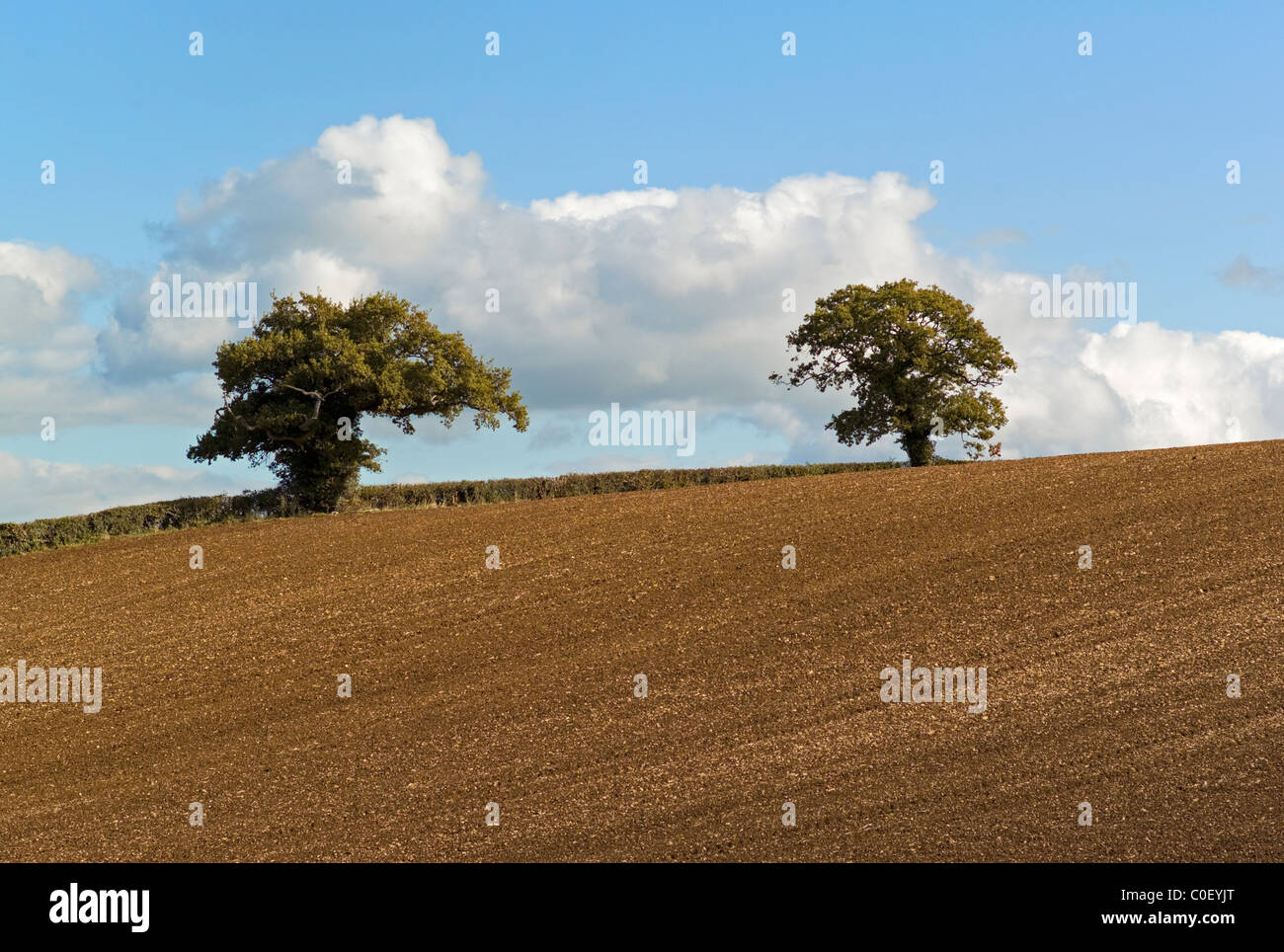 Ploughed field Gloucestershire UK Stock Photo