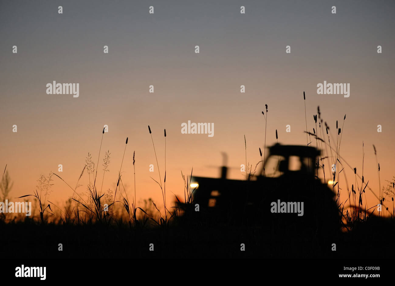 vintage tractor works on field at sunset Stock Photo