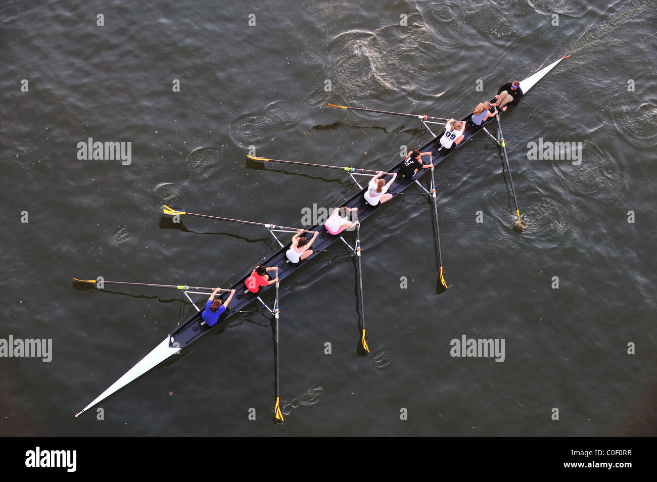 Crew rowing aerial hi-res stock photography and images - Alamy
