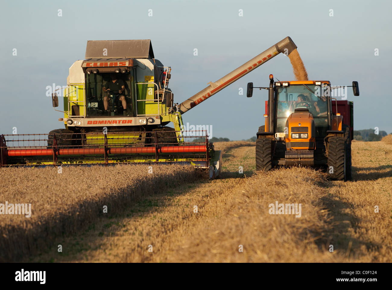 Combine harvester, tractor and trailer at work summer,Warwickshire, England Stock Photo Alamy