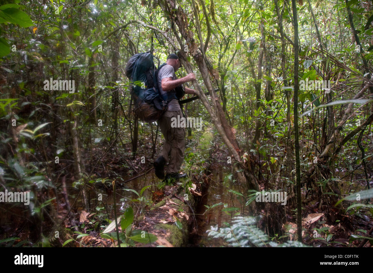Amazon walker hires stock photography and images Alamy