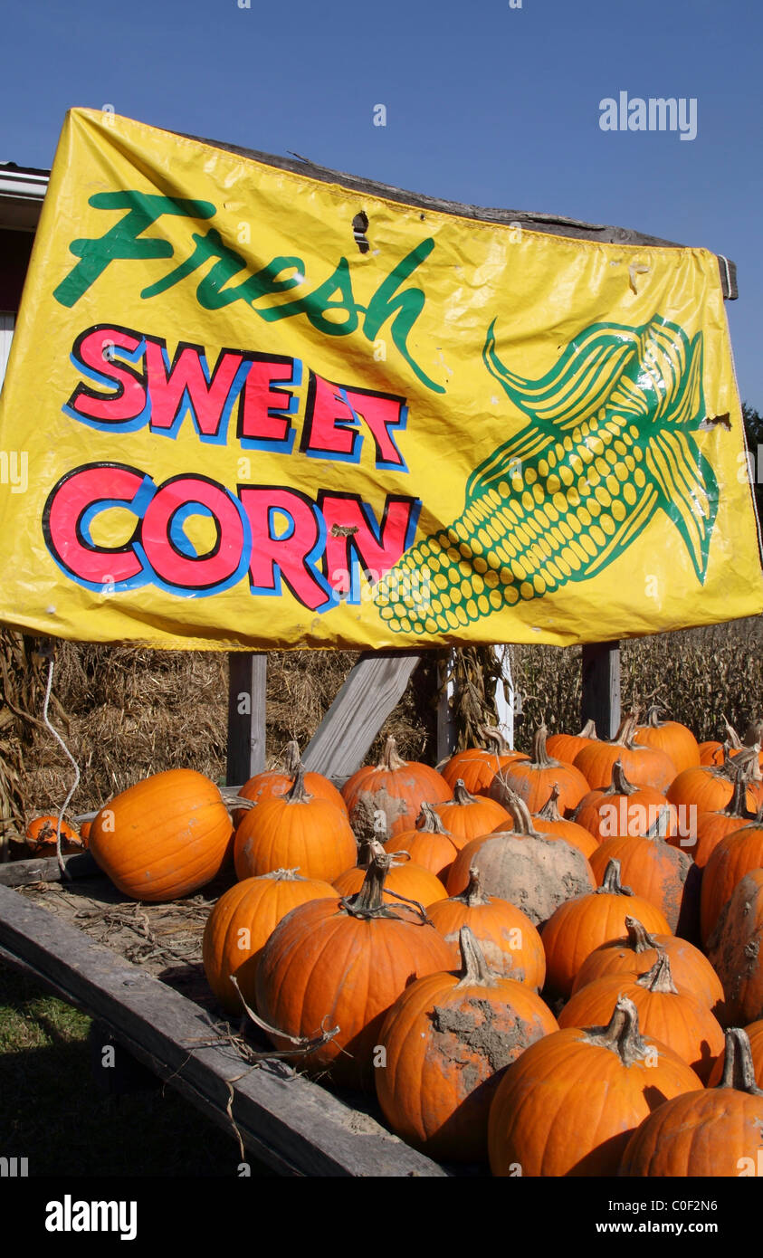 Corn stand hires stock photography and images Alamy