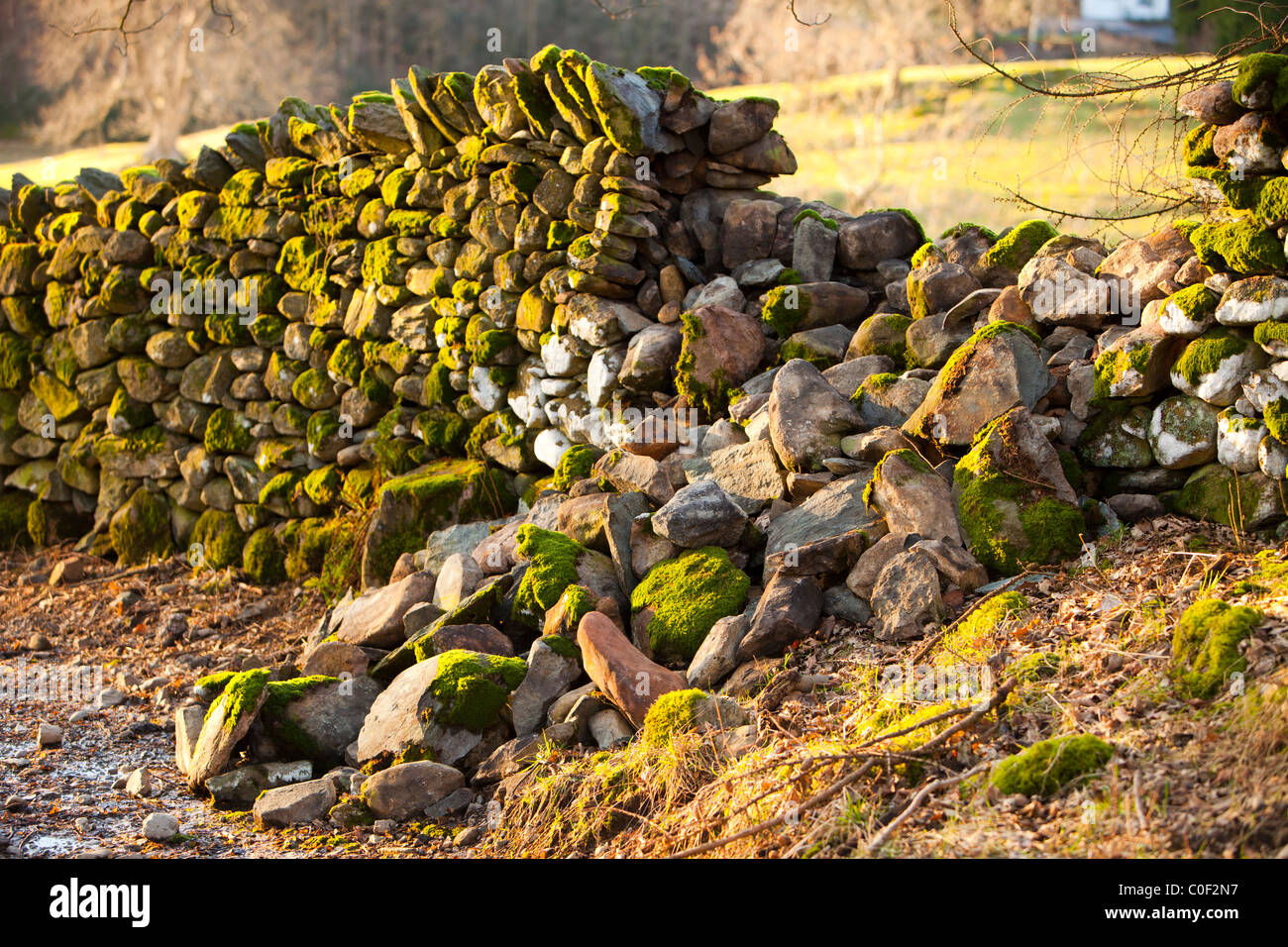 A dry stone wall collapsed in Ambleside, Lake District, UK. Stock Photo