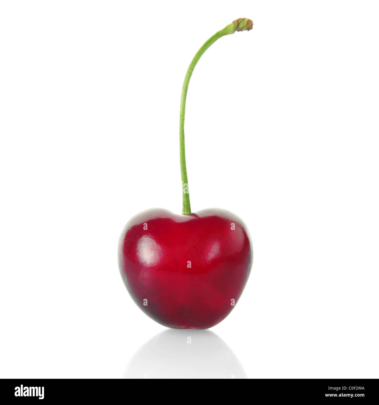 Cherry isolated on white Stock Photo