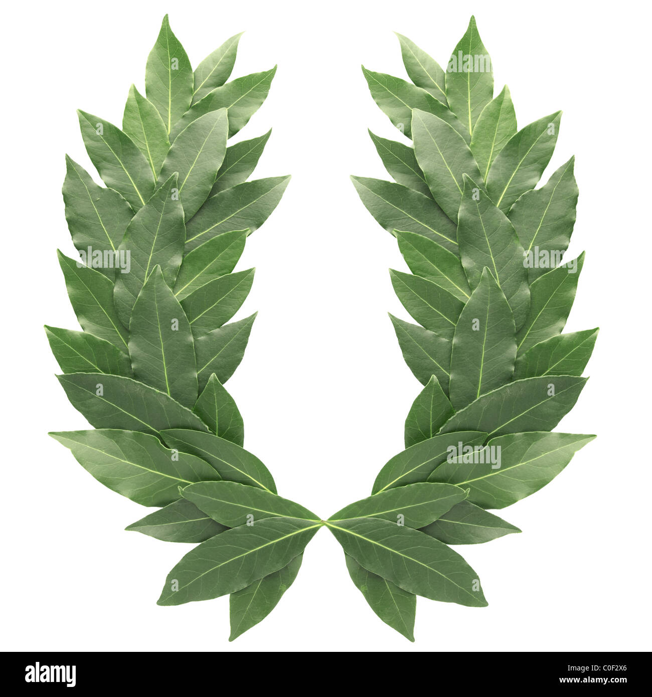 Laurel wreath isolated on white Stock Photo