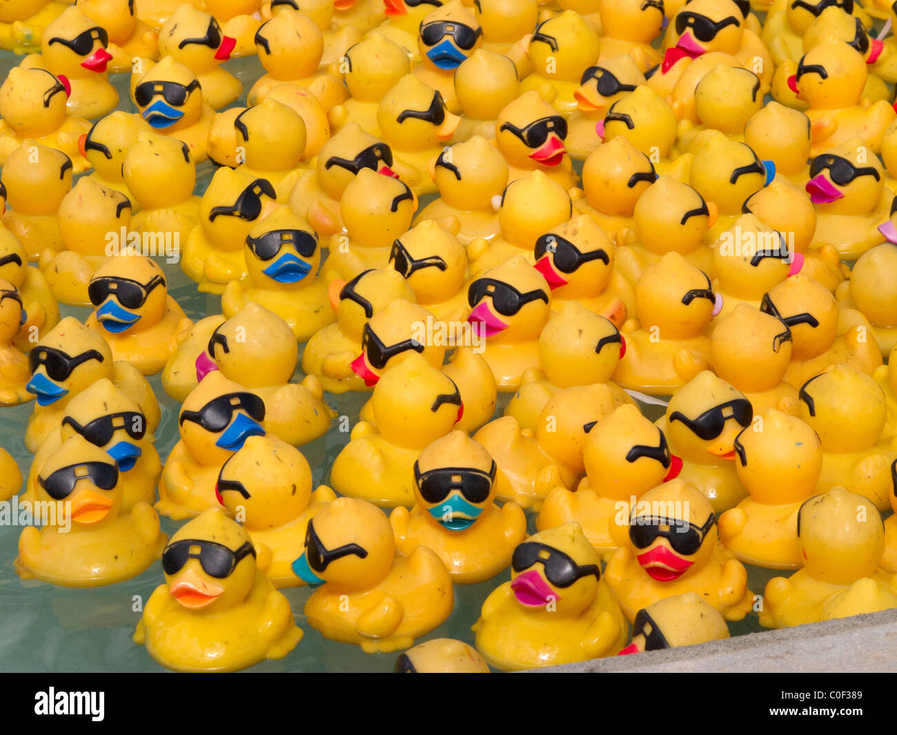 Rubber duckies. Stock Photo