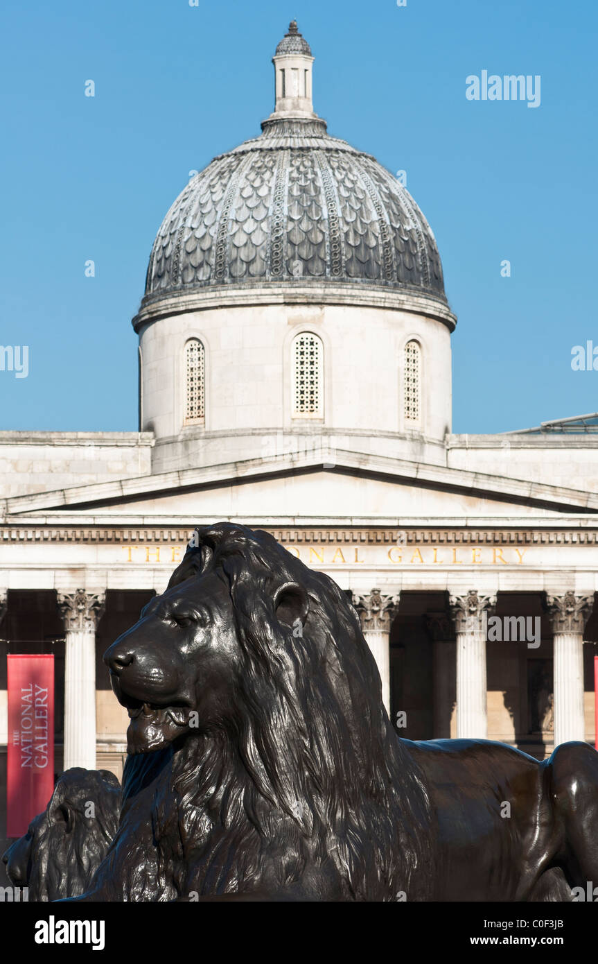 Trafalgar square lions with the National Gallery, London, England. Stock Photo