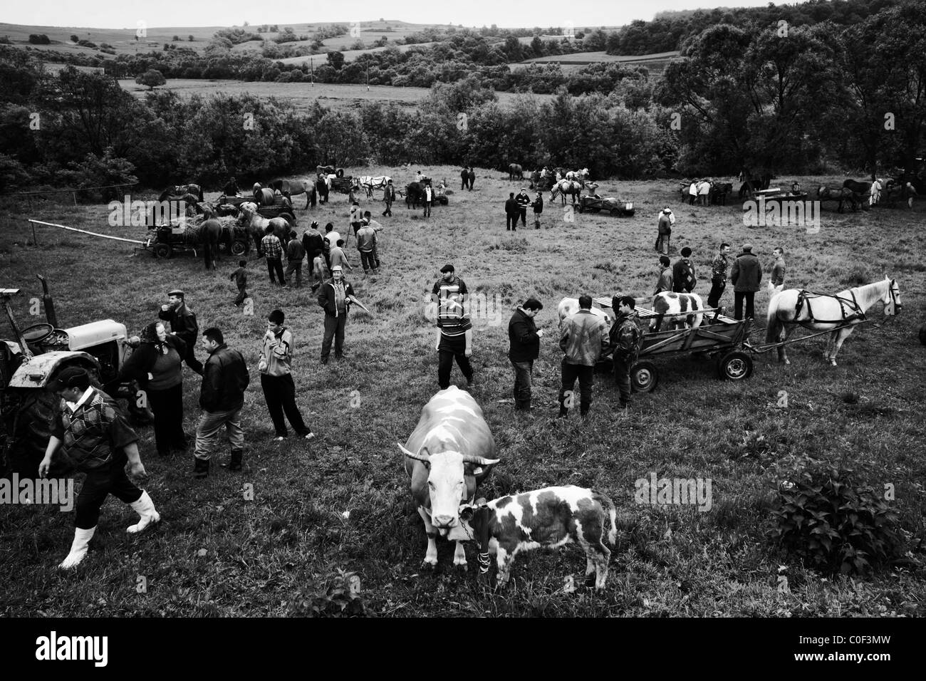 Romani families across Romania who have been evicted from their homes as a result of hostility, prejudice and the failure of the Stock Photo