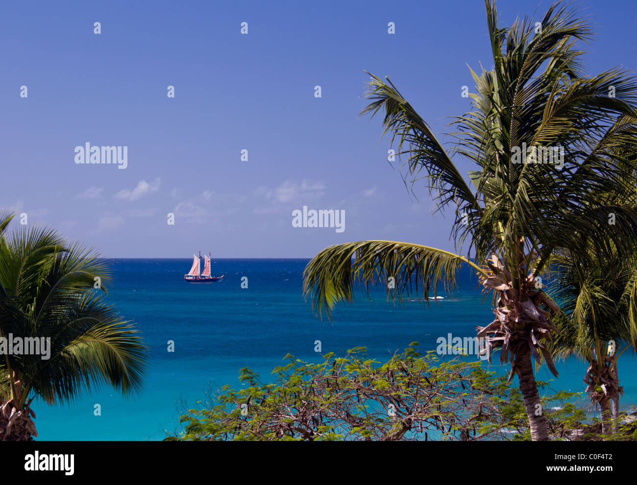 US Virgin Islands - Boat sails between palm trees off St John in the US Virgin Islands Stock Photo