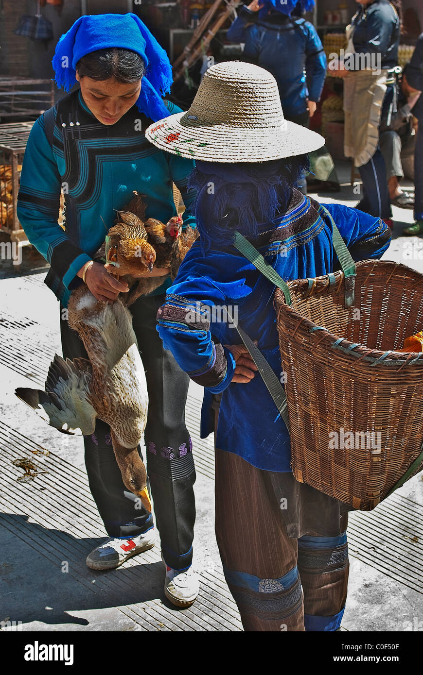 Yunnan chicken hi-res stock photography and images - Alamy