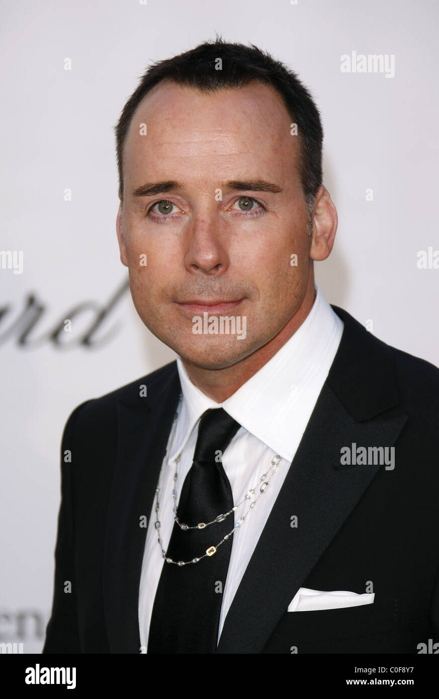 David Furnish amfAR's annual Cinema Against AIDS gala at The 2008