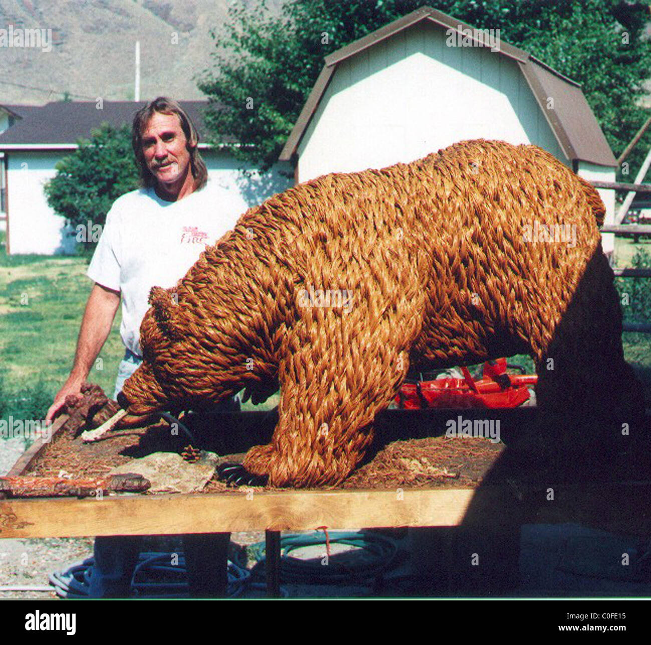 PINE BEAR This life-sized bear has been hand-crafted using pine needles.   Richard Carpenter carefully selects each needle Stock Photo