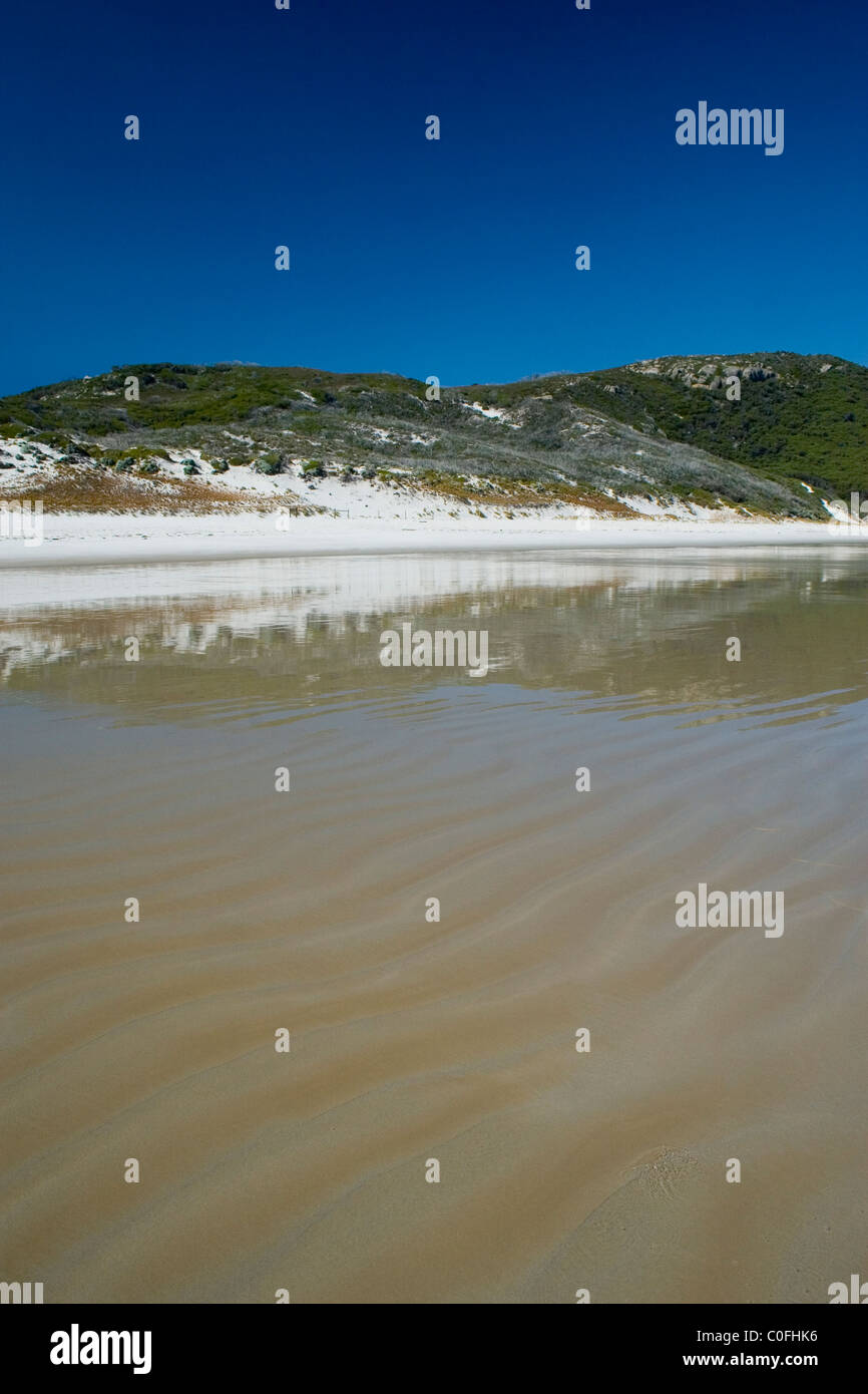 Sand dunes at Squeaky Beach, Wilson's Promontory, Victoria, Australia. Stock Photo