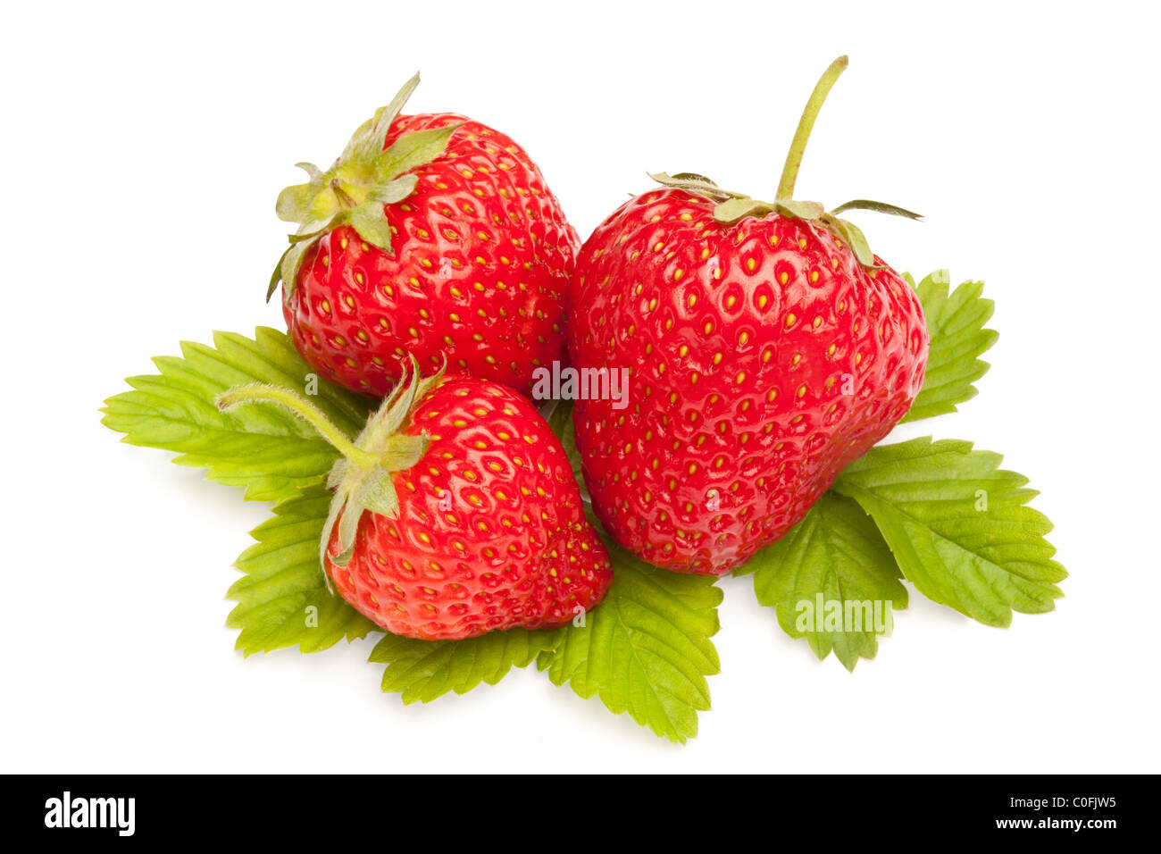 Three strawberries with leaf isolated on white Stock Photo - Alamy