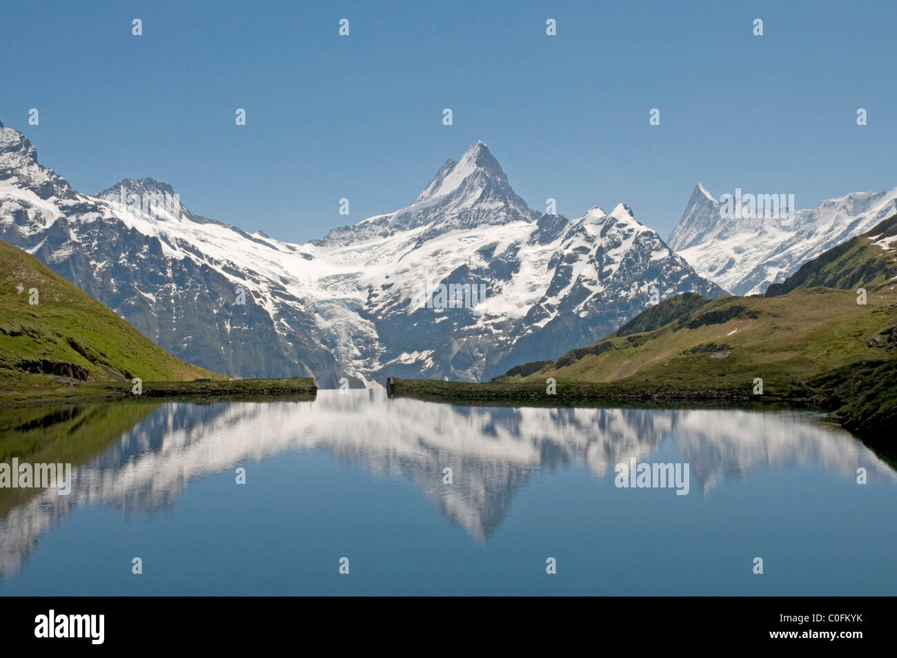 Stunning panorama of Swiss alpine peaks, including The Wetterhorn and Schreckhorn, viewed across the lower lake Bachalpsee Stock Photo