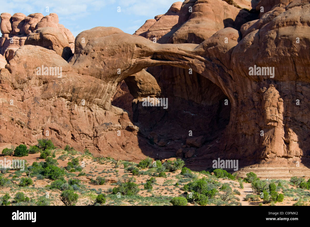 Double Arch,Cove of Caves,Ceaseless,Erosional Powers of Wind,Scouring