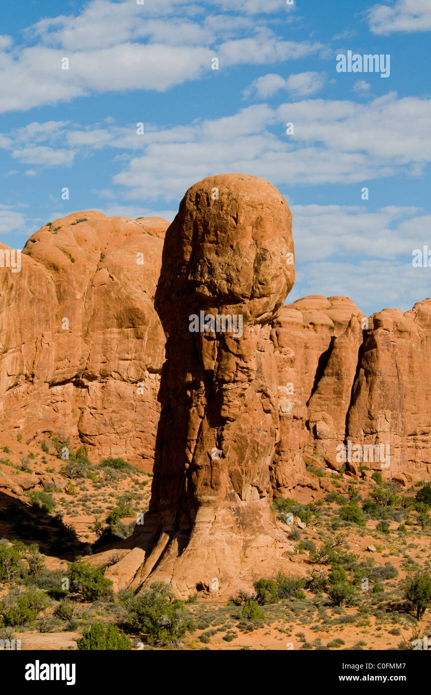 Double Arch,Cove of Caves,Ceaseless,Erosional Powers of Wind,Scouring