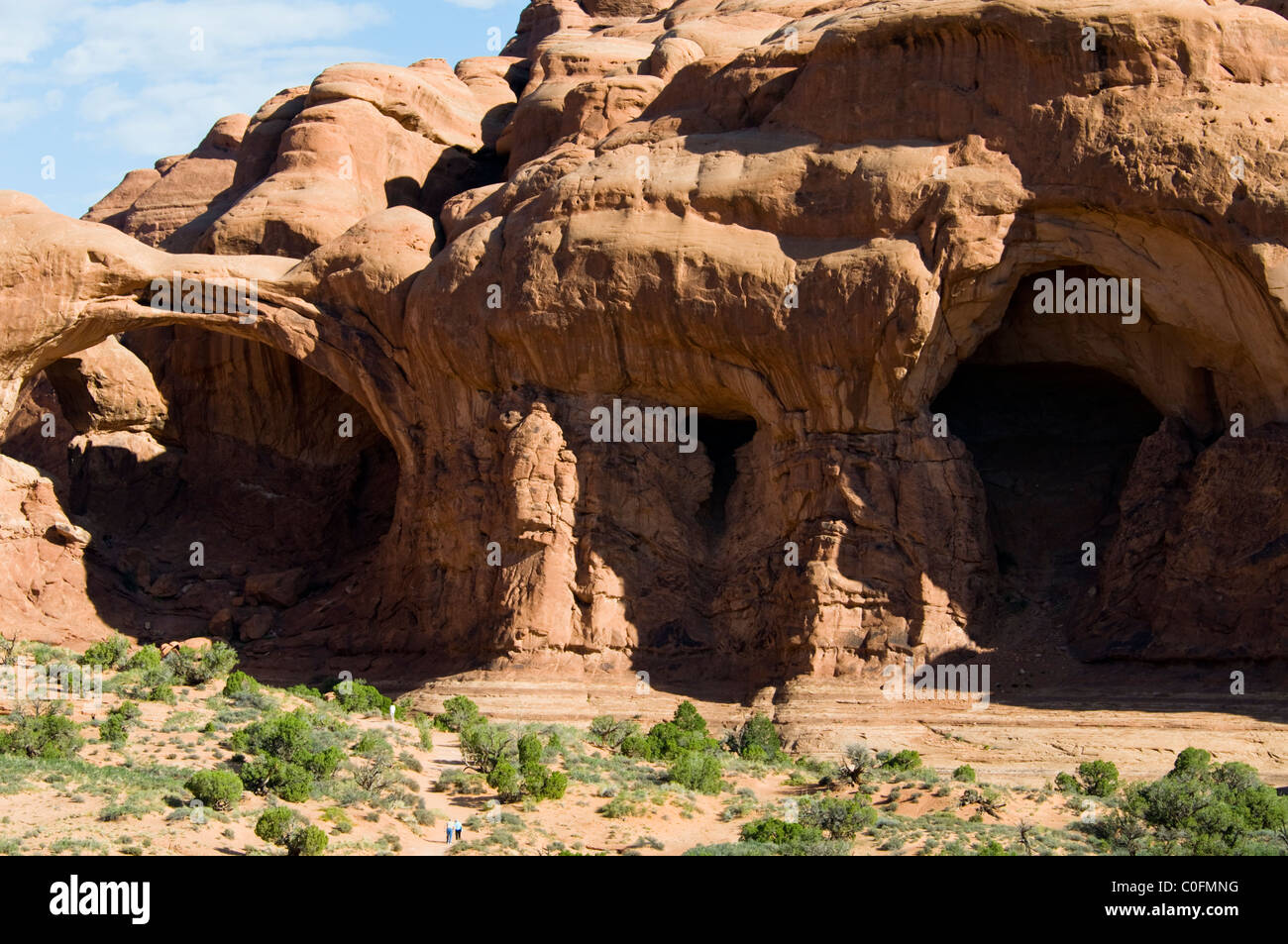 Double Arch,Cove of Caves,Ceaseless,Erosional Powers of Wind,Scouring