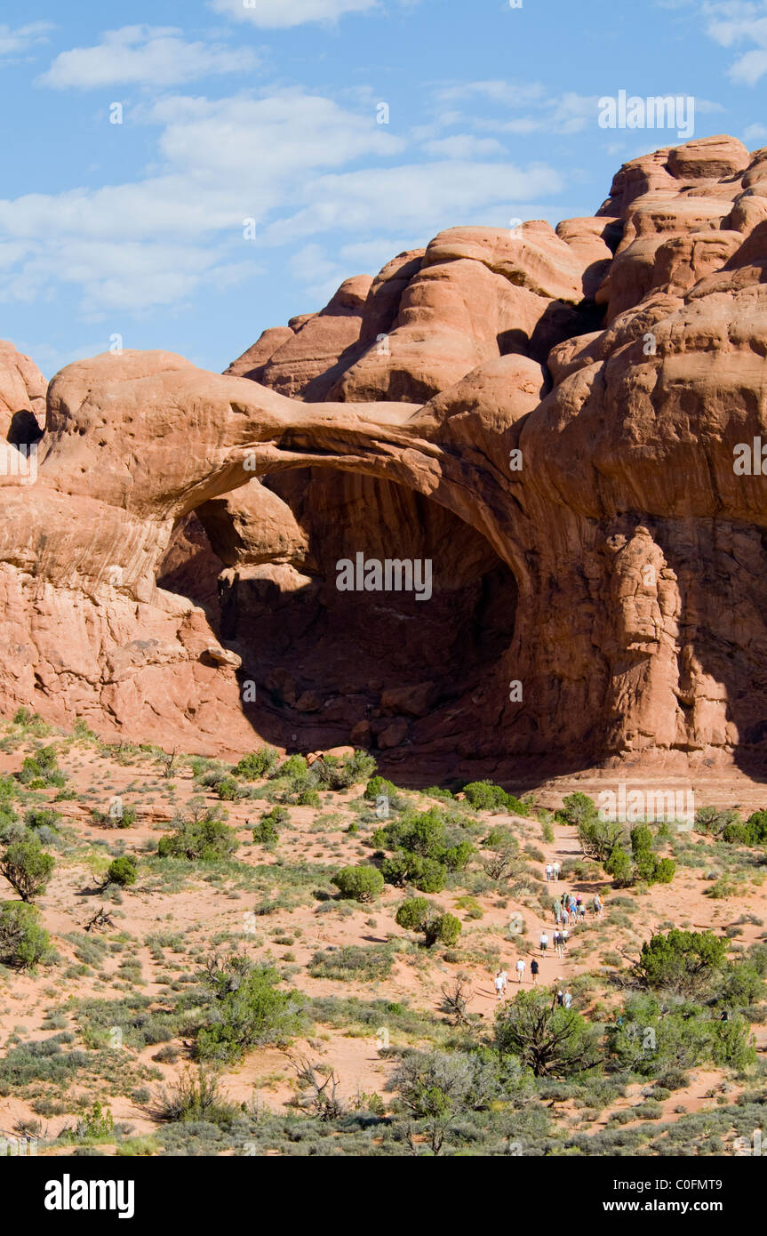 Double Arch,Cove of Caves,Ceaseless,Erosional Powers of Wind,Scouring