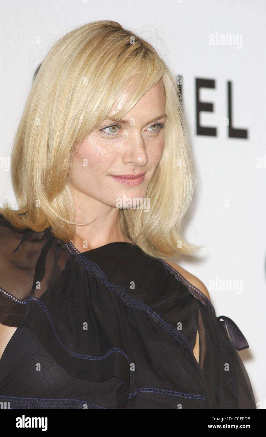 Amber valletta chanel celebrates new hi-res stock photography and