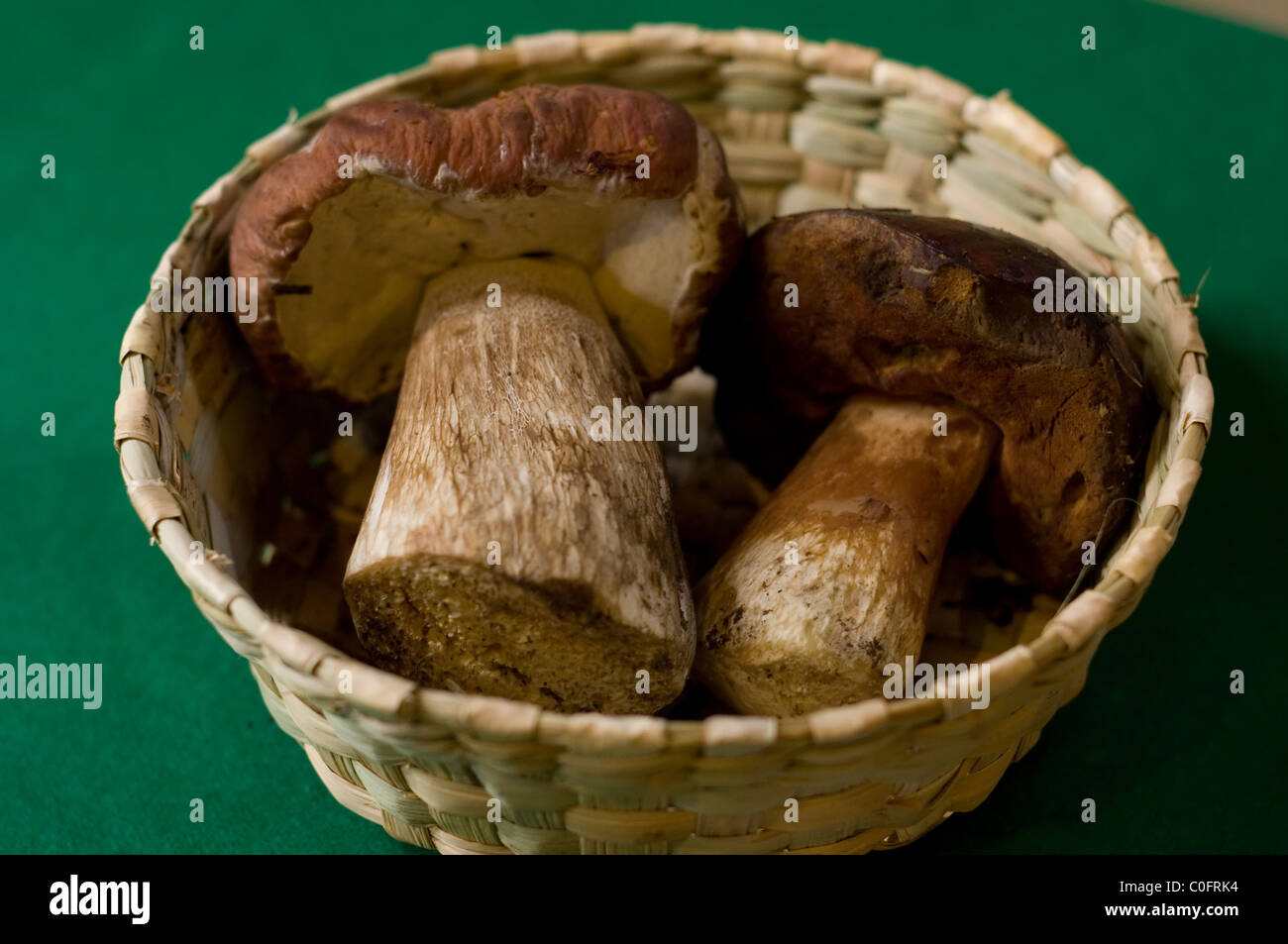 Boletus fungi in a basket Stock Photo