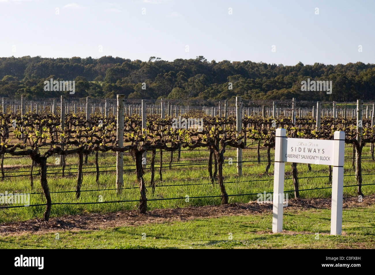 Howard Park Winery, Margaret River, Southwest Western Australia Stock Photo