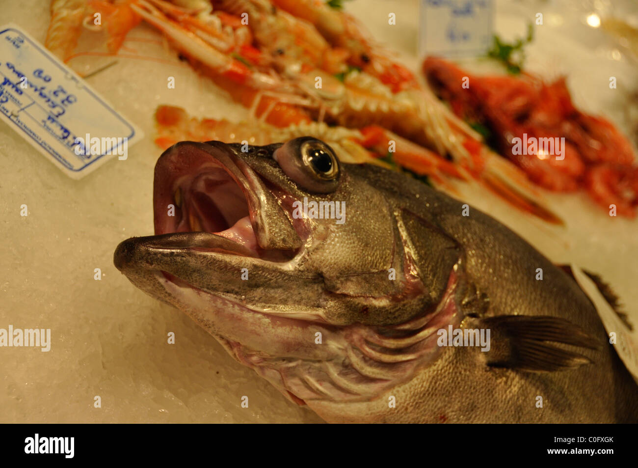 Fresh Fish at the Market Place , Central Barcelona Stock Photo Alamy