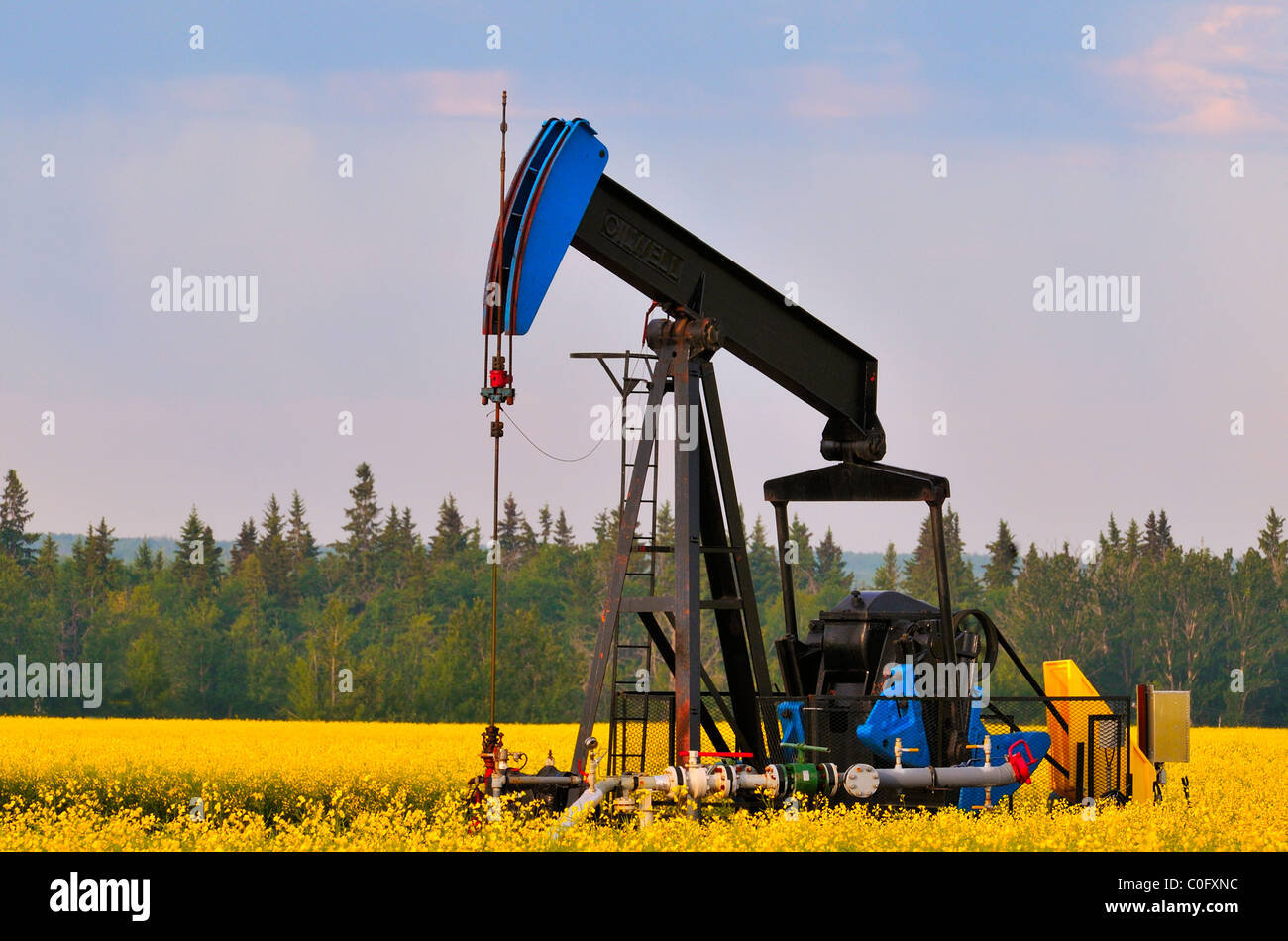 A pump jack pumping crude oil from under the ground Stock Photo